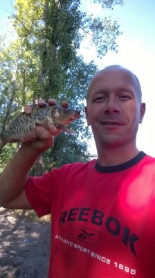 WP_20160827_13_50_03_Pro[1].jpg