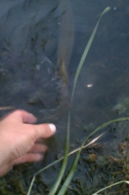 IMAG0584.jpg