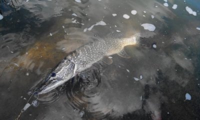 20160902140346.jpg