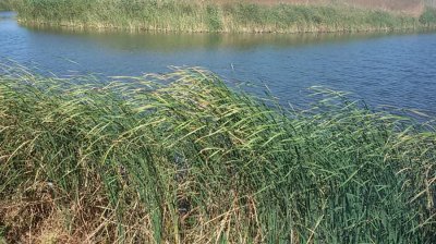 20160828_122806.jpg