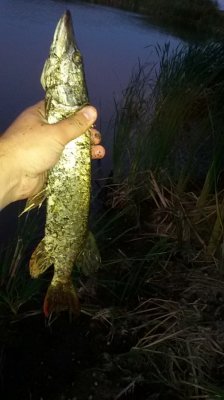 20160902_193120.jpg