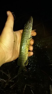 20160902_192525.jpg