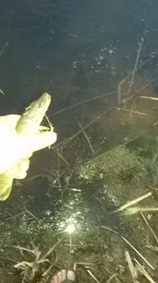 20160902_192516.jpg