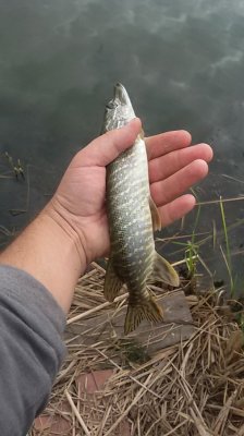 20160903_101929.jpg