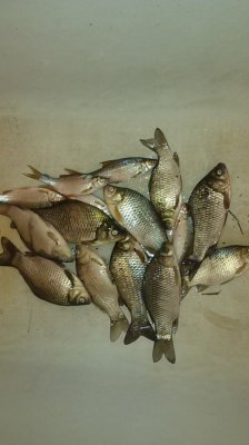 20160903_183734.jpg