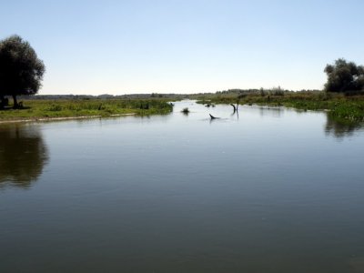 P8284752.JPG