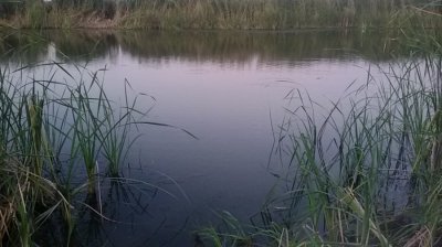 20160905_191514.jpg