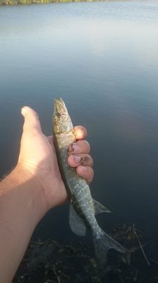 20160905_173009.jpg