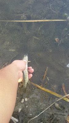 20160905_173035.jpg