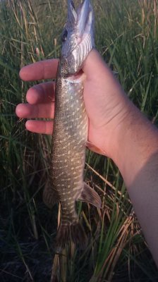 20160905_182057.jpg