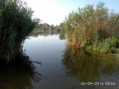 IMG_20160906_085449.jpg