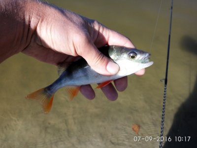 IMG_20160907_101704.jpg