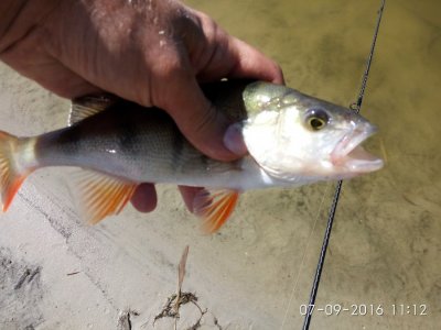 IMG_20160907_111212.jpg