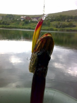 30062011753.jpg