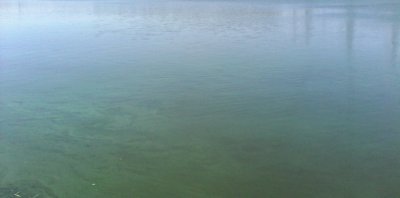 IMG_20160908_130428.JPG