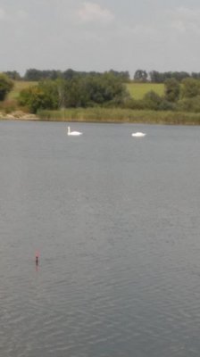20160906_134915.jpg