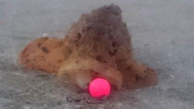DSC_0035__.jpg