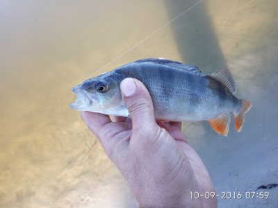IMG_20160910_075953.jpg