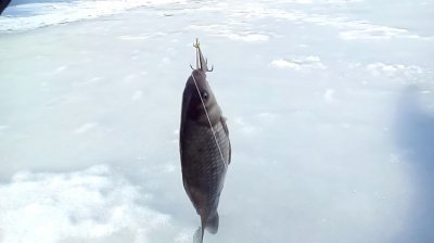 ЛОВЛЯ_КАРАСЯ_ЗИМОЙ_СО_ЛЬДА_УВЛЕКАТЕЛЬНАЯ_РЫБАЛКА_6_14_DdrZngcMMMU.jpg
