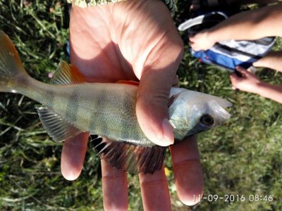 IMG_20160911_084659.jpg