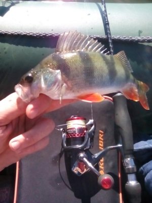 IMG_20160911_100002[1].jpg