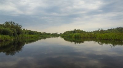 DSC07113.JPG