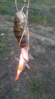 20160912_183816.jpg