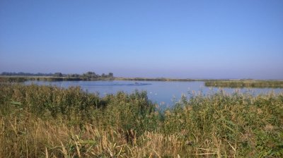 DSC_0945.JPG
