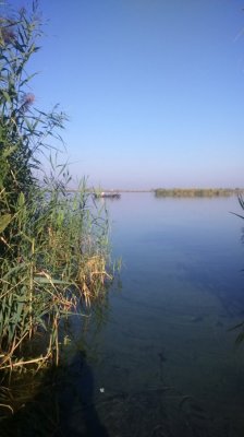 DSC_0949.JPG