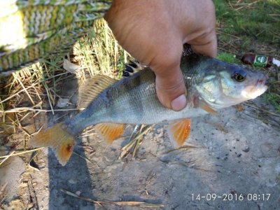 IMG_20160914_081707.jpg