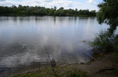 DSC_2812.JPG