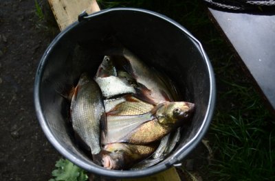 DSC_2820.JPG