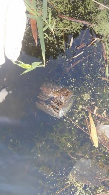 20160923_123333.jpg