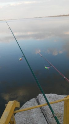 IMG-1473002651976-V.jpg