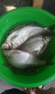 received_306576529697240.jpeg