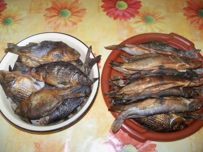 100_3054.JPG