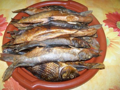 100_3056.JPG