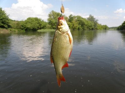 P5292750.JPG