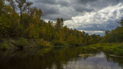 DSC07336.JPG