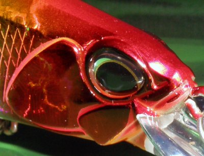 P9275466a.jpg