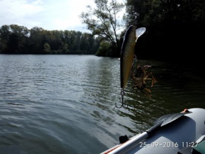 IMG_20160925_112733.jpg