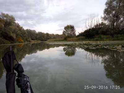 IMG_20160925_172540.jpg