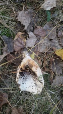 20161001_154202.jpg