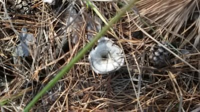 20161001_152831.jpg