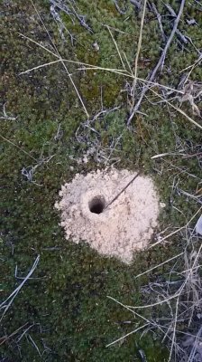 20161001_153157.jpg