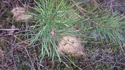 20161001_153234.jpg