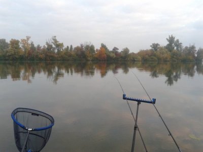 20161004_071143.jpg