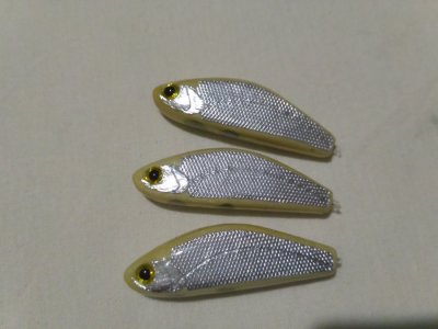 IMG_20161009_225033.jpg