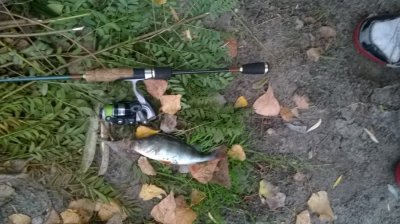 WP_20161016_001.jpg