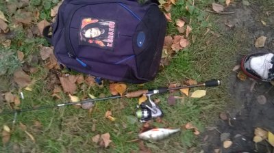 WP_20161016_004.jpg